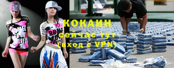 ГАЛЛЮЦИНОГЕННЫЕ ГРИБЫ Ростов