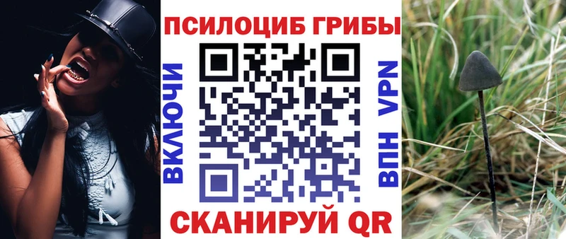Галлюциногенные грибы Magic Shrooms  Коркино 